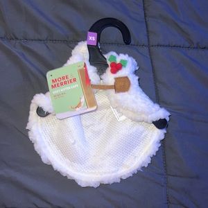 Kitten Christmas Cape XS